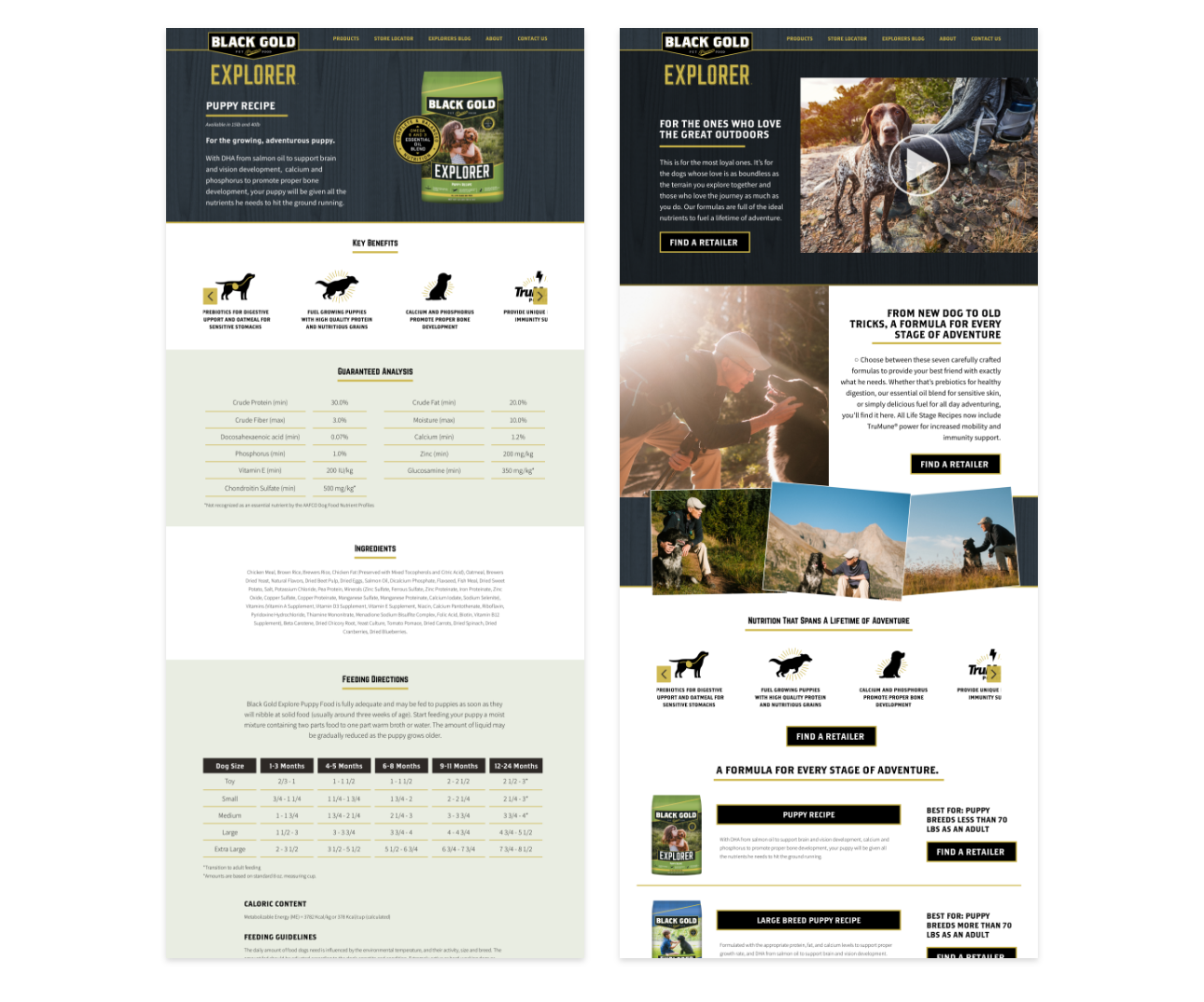 Black Gold Pet website pack designs