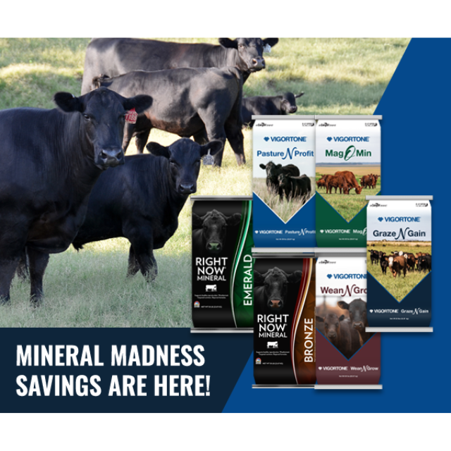 A Southern States email hero image with cattle and feed bag artwork