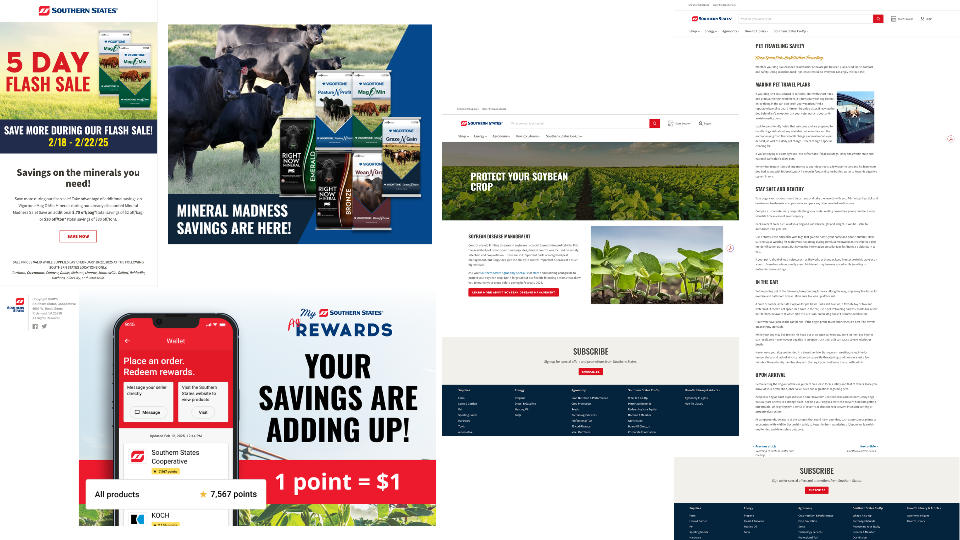 Examples of email campaigns, social media graphics, and content created for Southern States